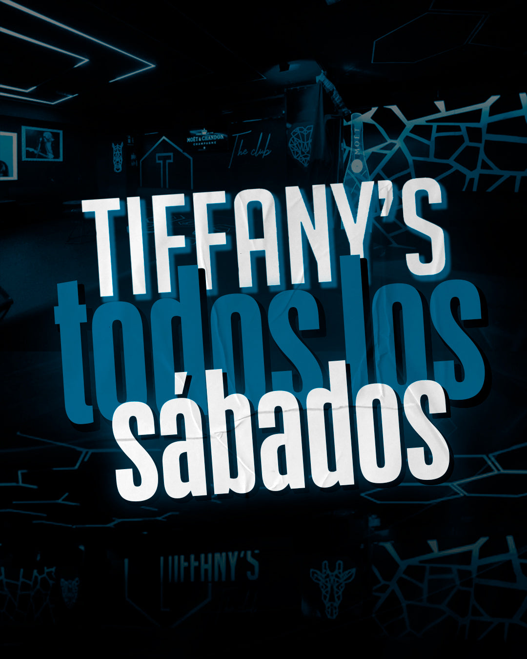 Camiseta Negraaaaaaaaaaaaaaaaaaaaaaaaaaaa asdasd